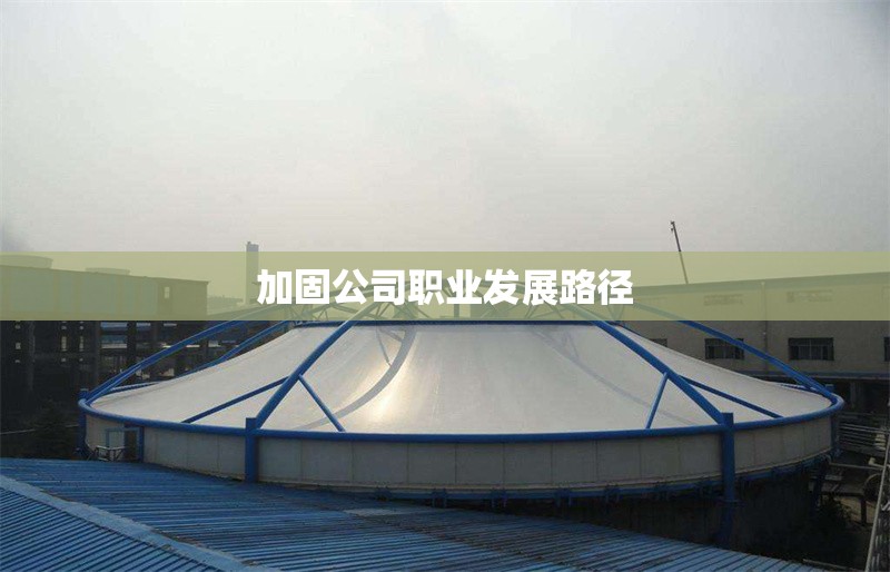 加固公司職業(yè)發(fā)展路徑 行業(yè)新聞 第1張