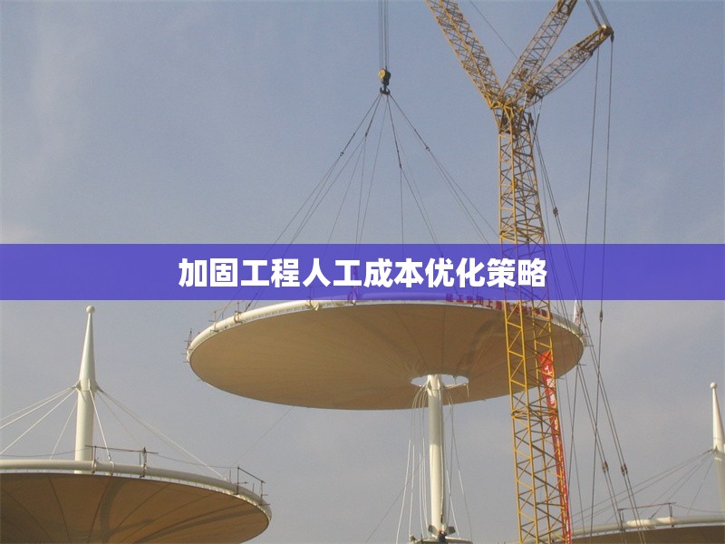 加固工程人工成本優(yōu)化策略 行業(yè)新聞 第1張