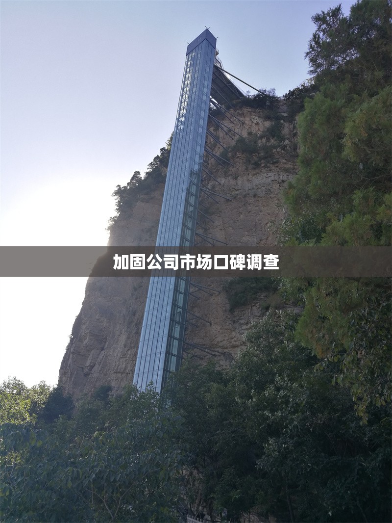 加固公司市場口碑調(diào)查 行業(yè)新聞 第1張