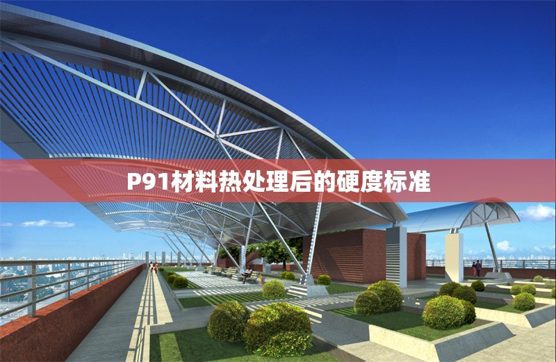 P91材料熱處理后的硬度標(biāo)準(zhǔn) 行業(yè)新聞 第1張 P91材料熱處理后的硬度標(biāo)準(zhǔn) 行業(yè)新聞 第1張