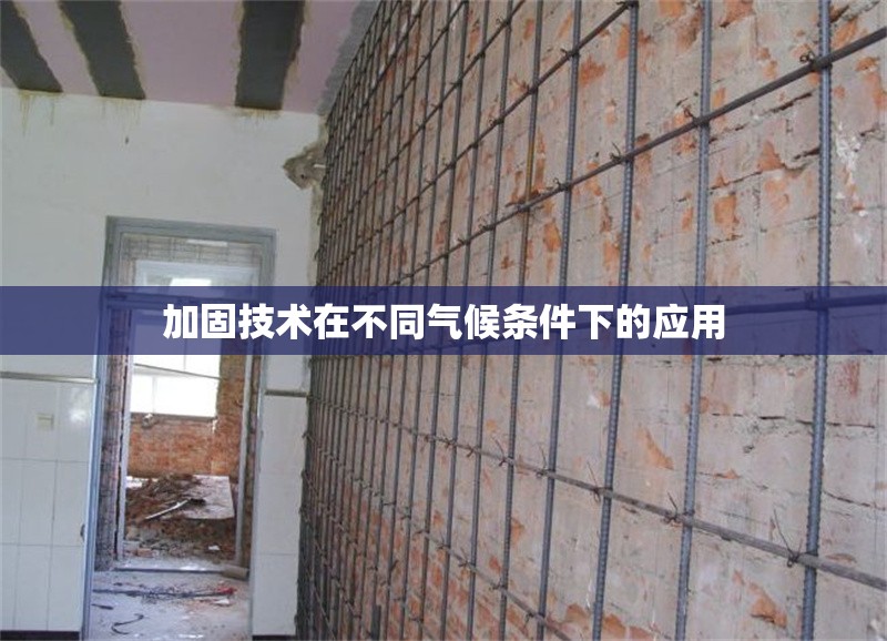 加固技術(shù)在不同氣候條件下的應(yīng)用