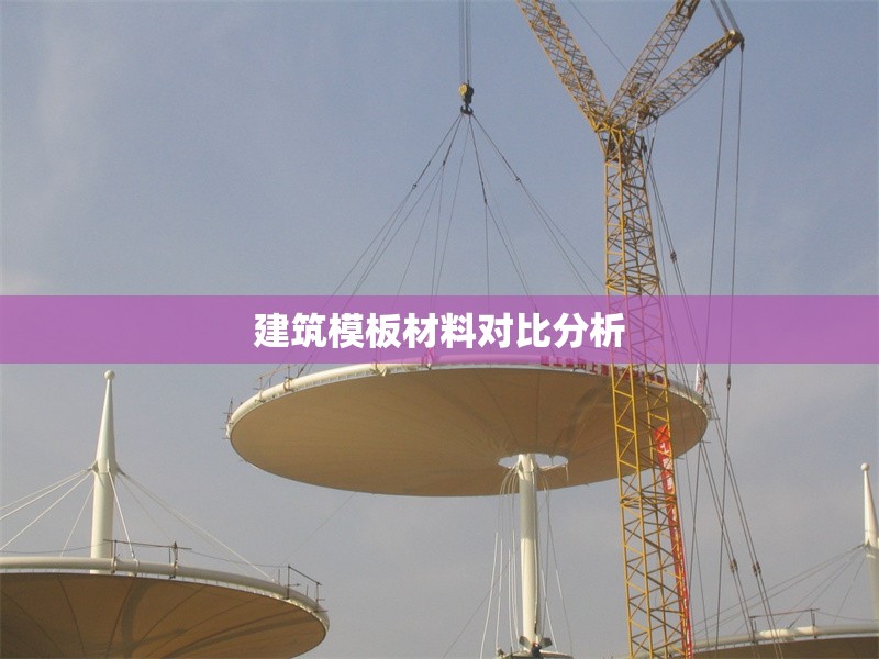 建筑模板材料對比分析 行業(yè)新聞 第1張 建筑模板材料對比分析 行業(yè)新聞 第1張