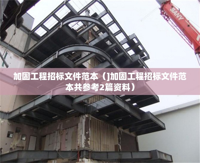 加固工程招標(biāo)文件范本（]加固工程招標(biāo)文件范本共參考2篇資料）