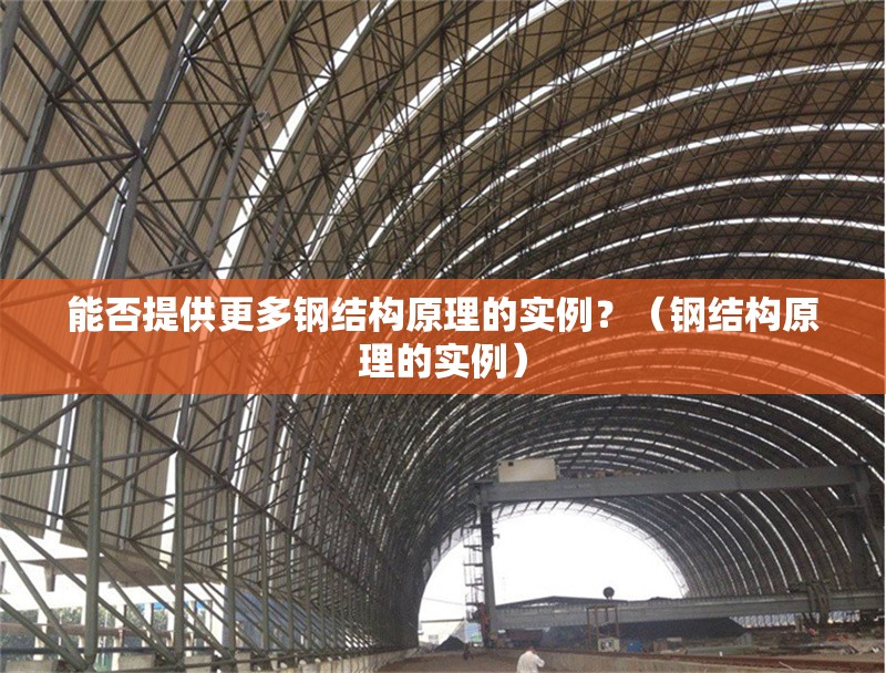 能否提供更多鋼結(jié)構(gòu)原理的實(shí)例？（鋼結(jié)構(gòu)原理的實(shí)例）