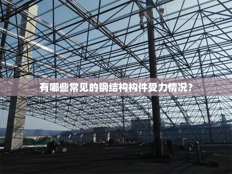有哪些常見的鋼結(jié)構(gòu)構(gòu)件受力情況？ 行業(yè)新聞