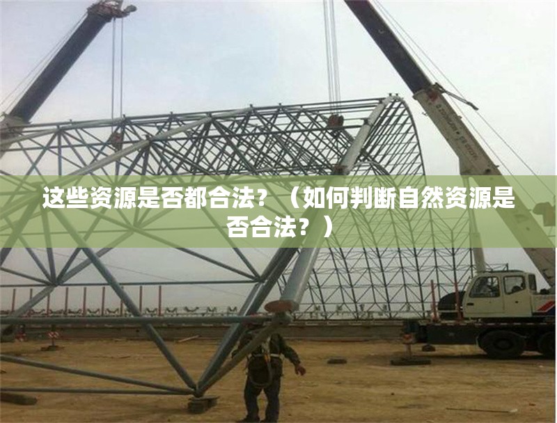 這些資源是否都合法？（如何判斷自然資源是否合法？）
