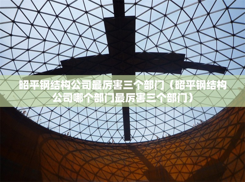 昭平鋼結(jié)構(gòu)公司最厲害三個部門（昭平鋼結(jié)構(gòu)公司哪個部門最厲害三個部門） 行業(yè)新聞