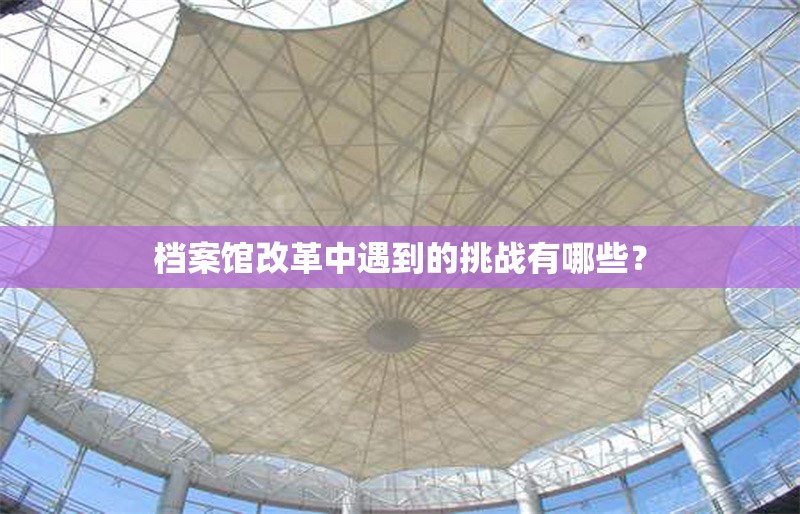 檔案館改革中遇到的挑戰(zhàn)有哪些？ 行業(yè)新聞