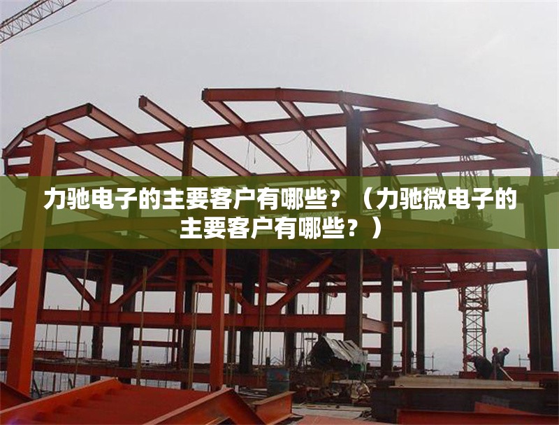 力馳電子的主要客戶有哪些？（力馳微電子的主要客戶有哪些？）