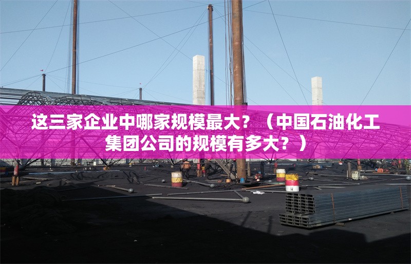 這三家企業(yè)中哪家規(guī)模最大？（中國石油化工集團(tuán)公司的規(guī)模有多大？）