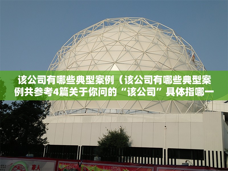 該公司有哪些典型案例（該公司有哪些典型案例共參考4篇關(guān)于你問的“該公司”具體指哪一家） 行業(yè)新聞