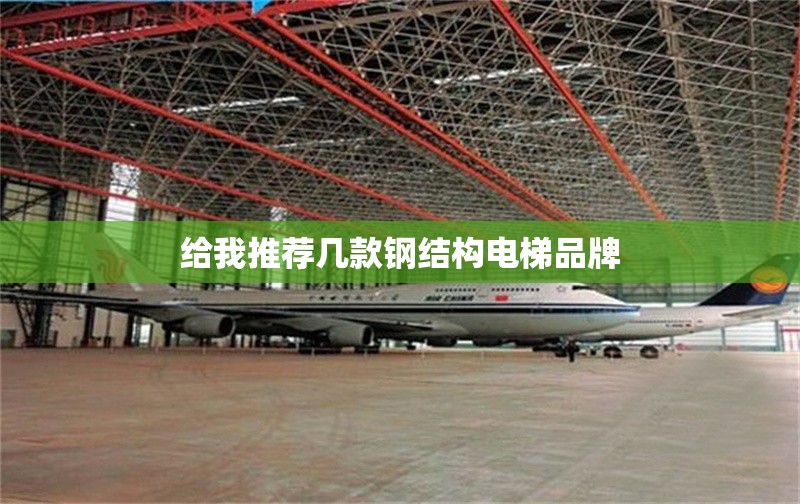 給我推薦幾款鋼結(jié)構(gòu)電梯品牌