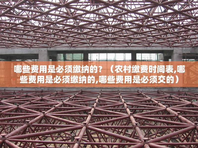 哪些費(fèi)用是必須繳納的？（農(nóng)村繳費(fèi)時(shí)間表,哪些費(fèi)用是必須繳納的,哪些費(fèi)用是必須交的）
