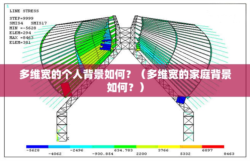 多維寬的個(gè)人背景如何？（多維寬的家庭背景如何？） 行業(yè)新聞