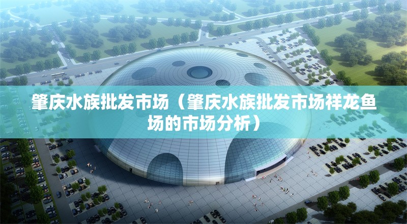 肇慶水族批發(fā)市場（肇慶水族批發(fā)市場祥龍魚場的市場分析）