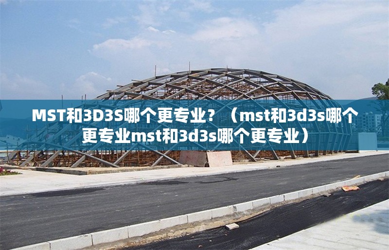 MST和3D3S哪個更專業(yè)？（mst和3d3s哪個更專業(yè)mst和3d3s哪個更專業(yè)） 行業(yè)新聞