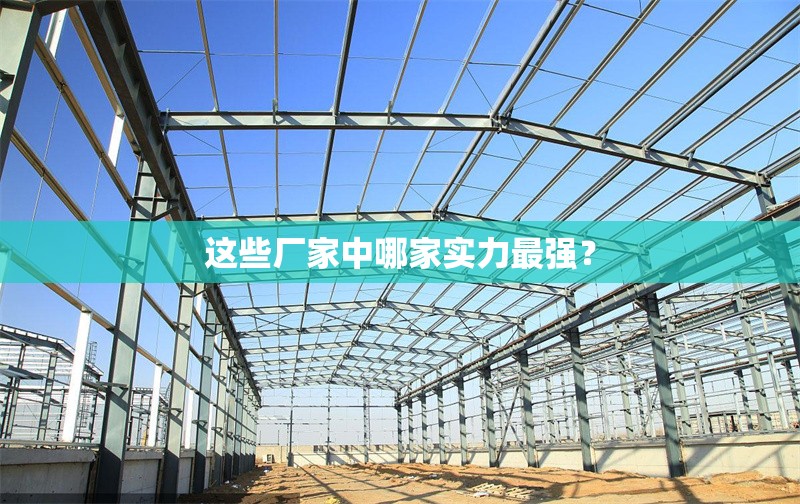 這些廠家中哪家實(shí)力最強(qiáng)？ 行業(yè)新聞