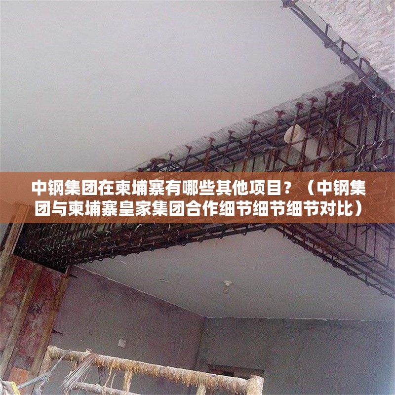 中鋼集團(tuán)在柬埔寨有哪些其他項(xiàng)目？（中鋼集團(tuán)與柬埔寨皇家集團(tuán)合作細(xì)節(jié)細(xì)節(jié)細(xì)節(jié)對(duì)比）