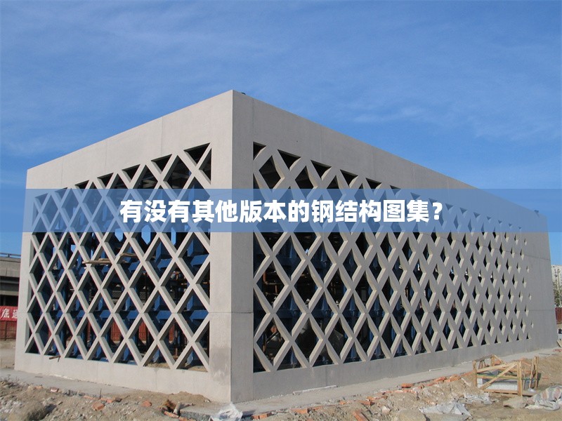 有沒(méi)有其他版本的鋼結(jié)構(gòu)圖集？