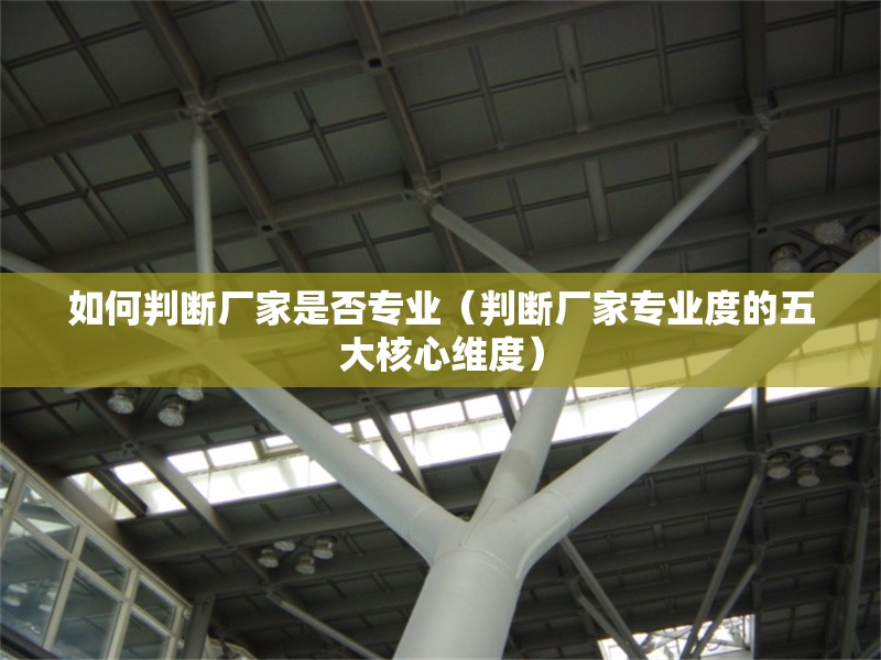 如何判斷廠家是否專業(yè)（判斷廠家專業(yè)度的五大核心維度） 行業(yè)新聞