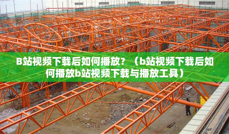 B站視頻下載后如何播放？（b站視頻下載后如何播放b站視頻下載與播放工具） 行業(yè)新聞