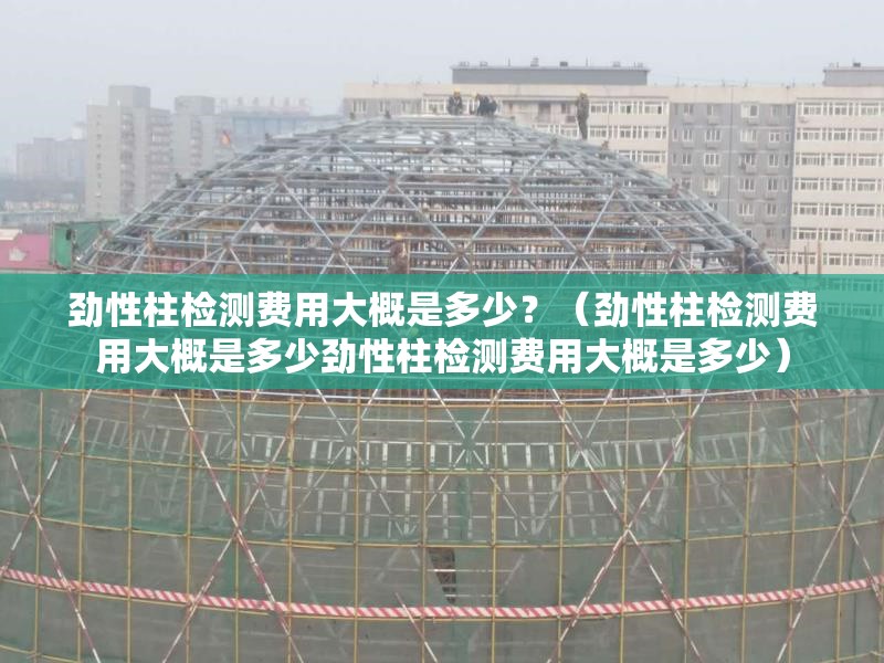 勁性柱檢測費用大概是多少？（勁性柱檢測費用大概是多少勁性柱檢測費用大概是多少） 行業(yè)新聞