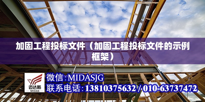 加固工程投標(biāo)文件（加固工程投標(biāo)文件的示例框架） 行業(yè)新聞
