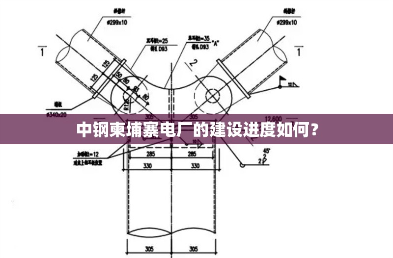 中鋼柬埔寨電廠的建設進度如何？ 行業(yè)新聞
