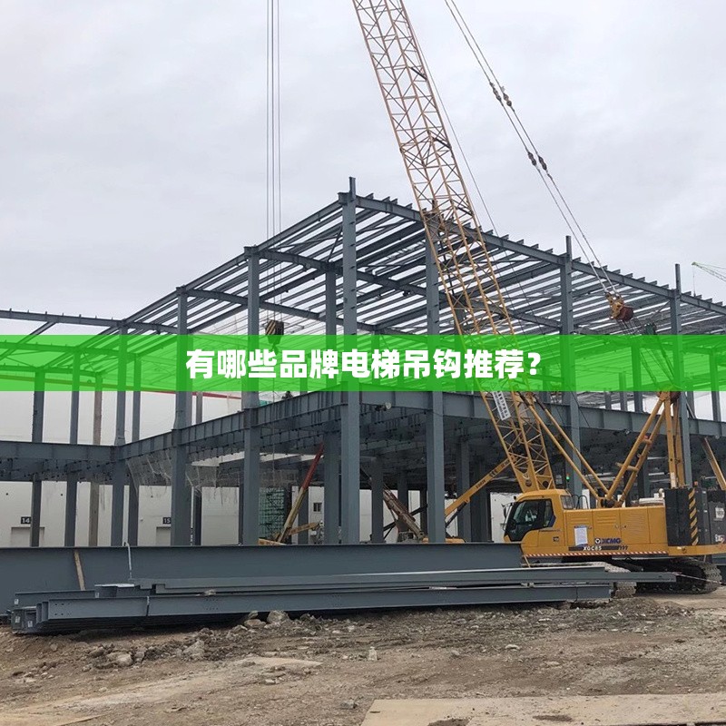 有哪些品牌電梯吊鉤推薦？ 行業(yè)新聞