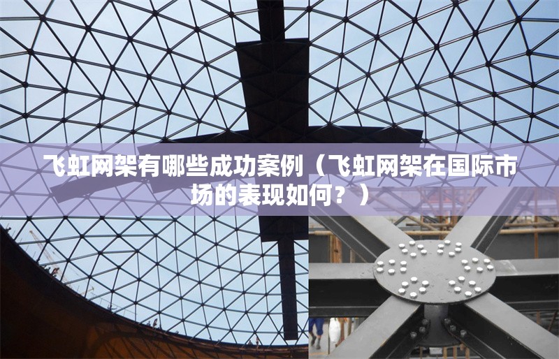 飛虹網(wǎng)架有哪些成功案例（飛虹網(wǎng)架在國(guó)際市場(chǎng)的表現(xiàn)如何？） 行業(yè)新聞