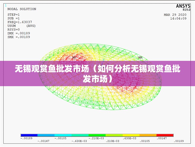 無錫觀賞魚批發(fā)市場（如何分析無錫觀賞魚批發(fā)市場） 行業(yè)新聞