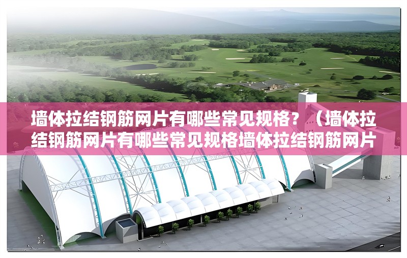 墻體拉結(jié)鋼筋網(wǎng)片有哪些常見規(guī)格？（墻體拉結(jié)鋼筋網(wǎng)片有哪些常見規(guī)格墻體拉結(jié)鋼筋網(wǎng)片的常見規(guī)格） 行業(yè)新聞