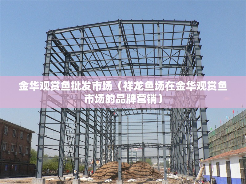 金華觀賞魚批發(fā)市場（祥龍魚場在金華觀賞魚市場的品牌營銷） 行業(yè)新聞