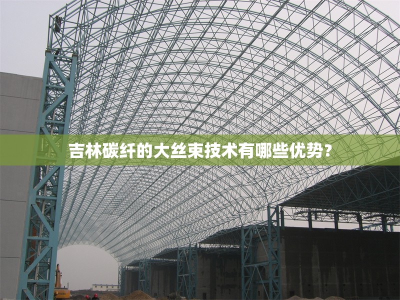 吉林碳纖的大絲束技術(shù)有哪些優(yōu)勢？ 行業(yè)新聞