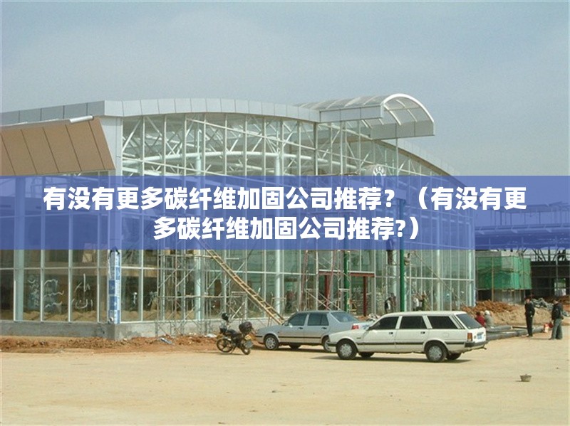 有沒(méi)有更多碳纖維加固公司推薦？（有沒(méi)有更多碳纖維加固公司推薦?） 行業(yè)新聞