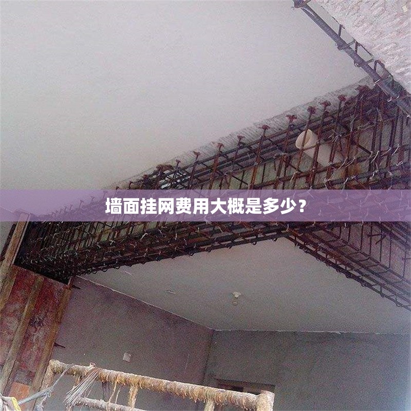 墻面掛網(wǎng)費(fèi)用大概是多少？ 行業(yè)新聞