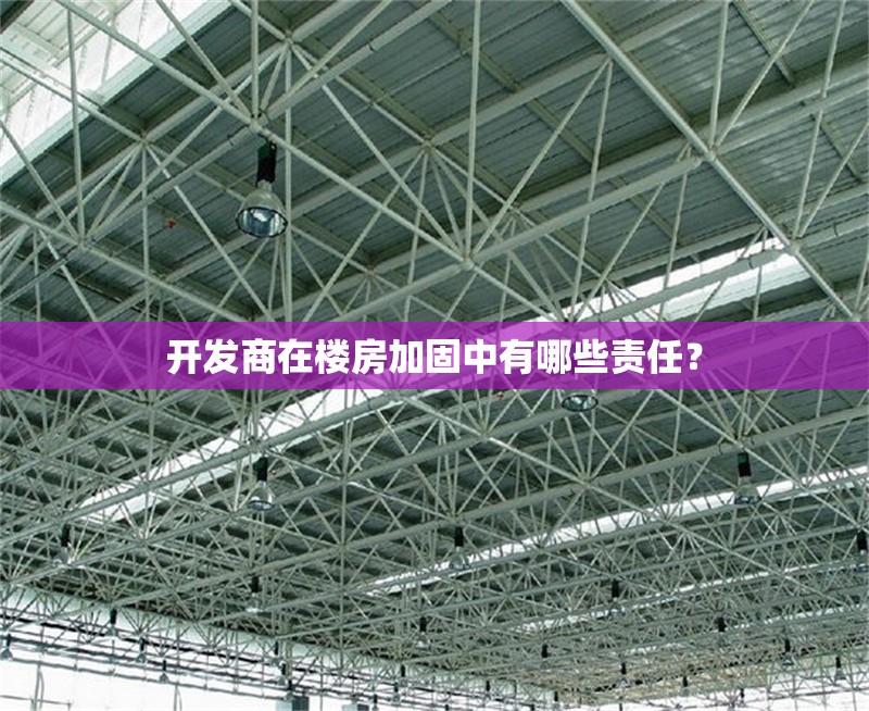 開發(fā)商在樓房加固中有哪些責(zé)任？ 行業(yè)新聞