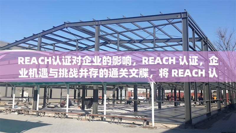REACH認證對企業(yè)的影響，REACH 認證，企業(yè)機遇與挑戰(zhàn)并存的通關文牒，將 REACH 認證比喻成通關文牒，形象地體現(xiàn)出它對企業(yè)的重要性， 行業(yè)新聞 第7張