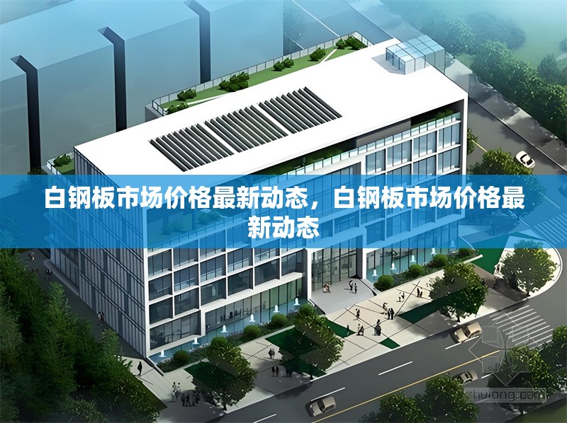 白鋼板市場價格最新動態(tài)，白鋼板市場價格最新動態(tài) 行業(yè)新聞 第1張