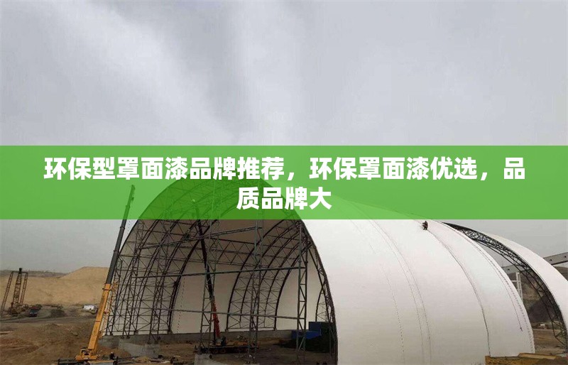 環(huán)保型罩面漆品牌推薦，環(huán)保罩面漆優(yōu)選，品質(zhì)品牌大 行業(yè)新聞 第3張