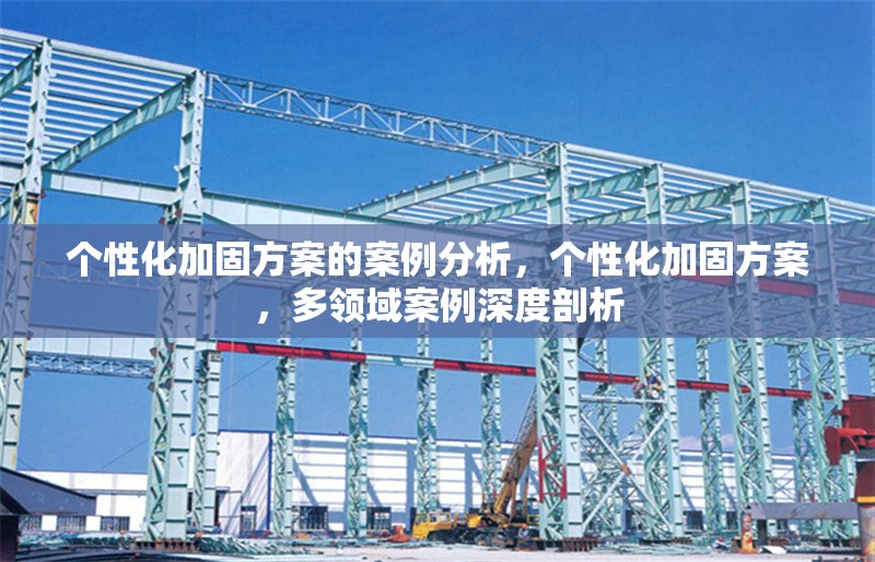 個性化加固方案的案例分析，個性化加固方案，多領(lǐng)域案例深度剖析