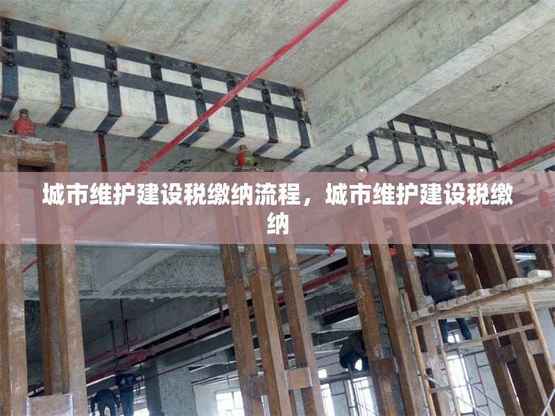 城市維護(hù)建設(shè)稅繳納流程，城市維護(hù)建設(shè)稅繳納 行業(yè)新聞 第6張