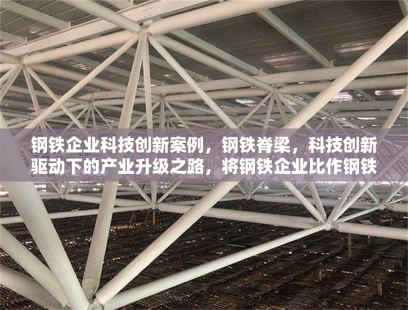 鋼鐵企業(yè)科技創(chuàng)新案例，鋼鐵脊梁，科技創(chuàng)新驅(qū)動下的產(chǎn)業(yè)升級之路，將鋼鐵企業(yè)比作鋼鐵脊梁，突出其在工業(yè)中的重要地位?？萍紕?chuàng)新驅(qū)動直接點明核心主題，產(chǎn)業(yè)升級之路則體現(xiàn)了通過科技創(chuàng)新帶來的積極變化和發(fā)展方向， 行業(yè)新聞 第6張