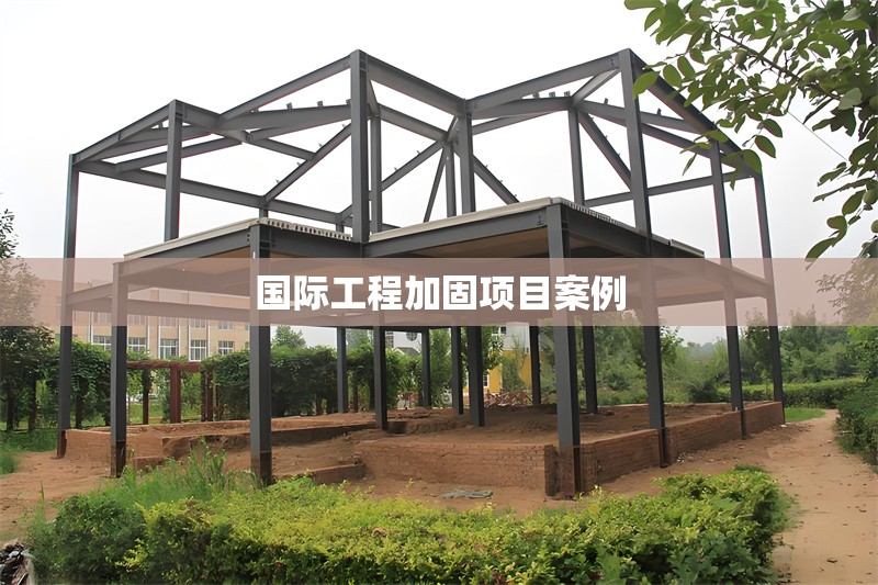 國際工程加固項目案例