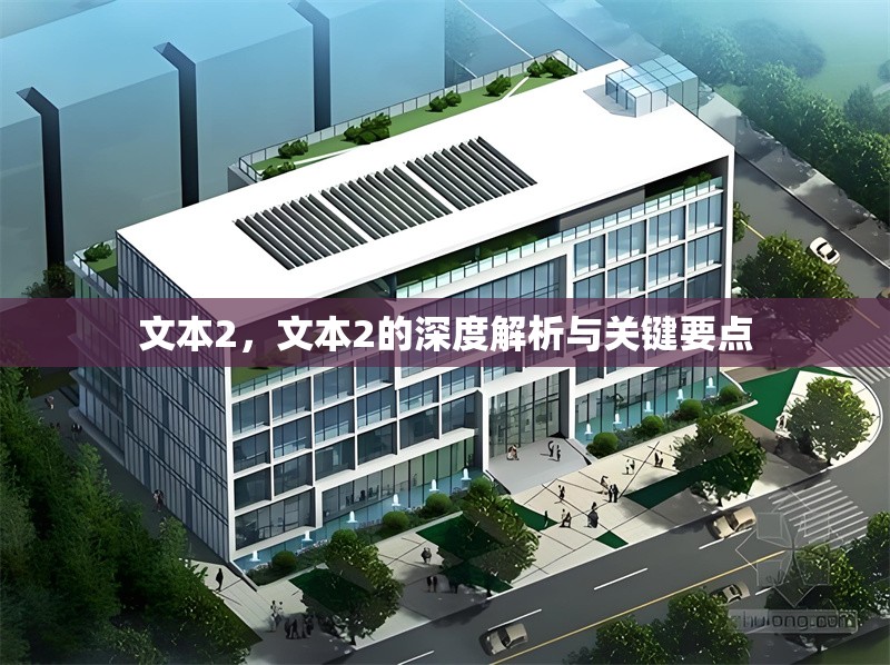 文本2，文本2的深度解析與關(guān)鍵要點(diǎn)