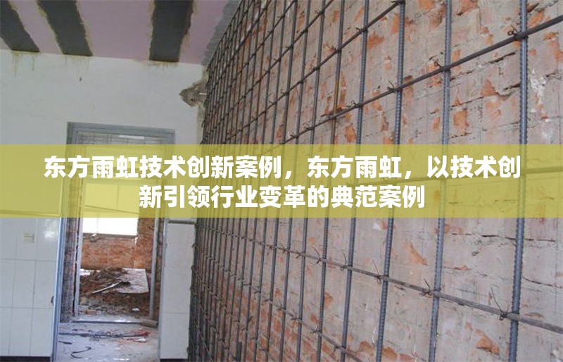 東方雨虹技術(shù)創(chuàng)新案例，東方雨虹，以技術(shù)創(chuàng)新引領(lǐng)行業(yè)變革的典范案例 行業(yè)新聞 第1張