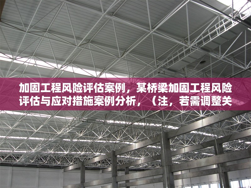 加固工程風(fēng)險(xiǎn)評估案例，某橋梁加固工程風(fēng)險(xiǎn)評估與應(yīng)對措施案例分析，（注，若需調(diào)整關(guān)鍵詞如項(xiàng)目類型/行業(yè)，可補(bǔ)充具體信息后優(yōu)化標(biāo)題）