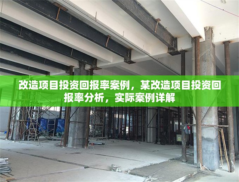 改造項目投資回報率案例，某改造項目投資回報率分析，實際案例詳解
