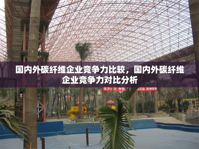 國(guó)內(nèi)外碳纖維企業(yè)競(jìng)爭(zhēng)力比較，國(guó)內(nèi)外碳纖維企業(yè)競(jìng)爭(zhēng)力對(duì)比分析