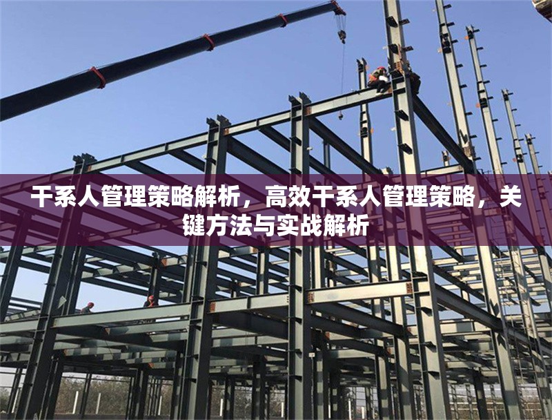 干系人管理策略解析，高效干系人管理策略，關鍵方法與實戰(zhàn)解析 行業(yè)新聞 第1張